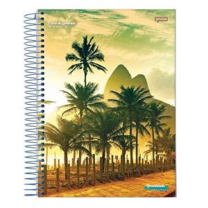 Caderno Espiral 1/4 (Pequeno) 96 Folhas Capa Dura Brasilidade Jandaia - Envio de Capas Conforme Disponibilidade do Estoque