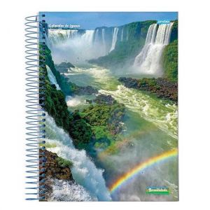 Caderno Espiral 1/4 (Pequeno) 96 Folhas Capa Dura Brasilidade Jandaia - Envio de Capas Conforme Disponibilidade do Estoque