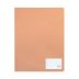 Pasta catálogo Com 20 Envelopes Coral Pastel 136 ACP